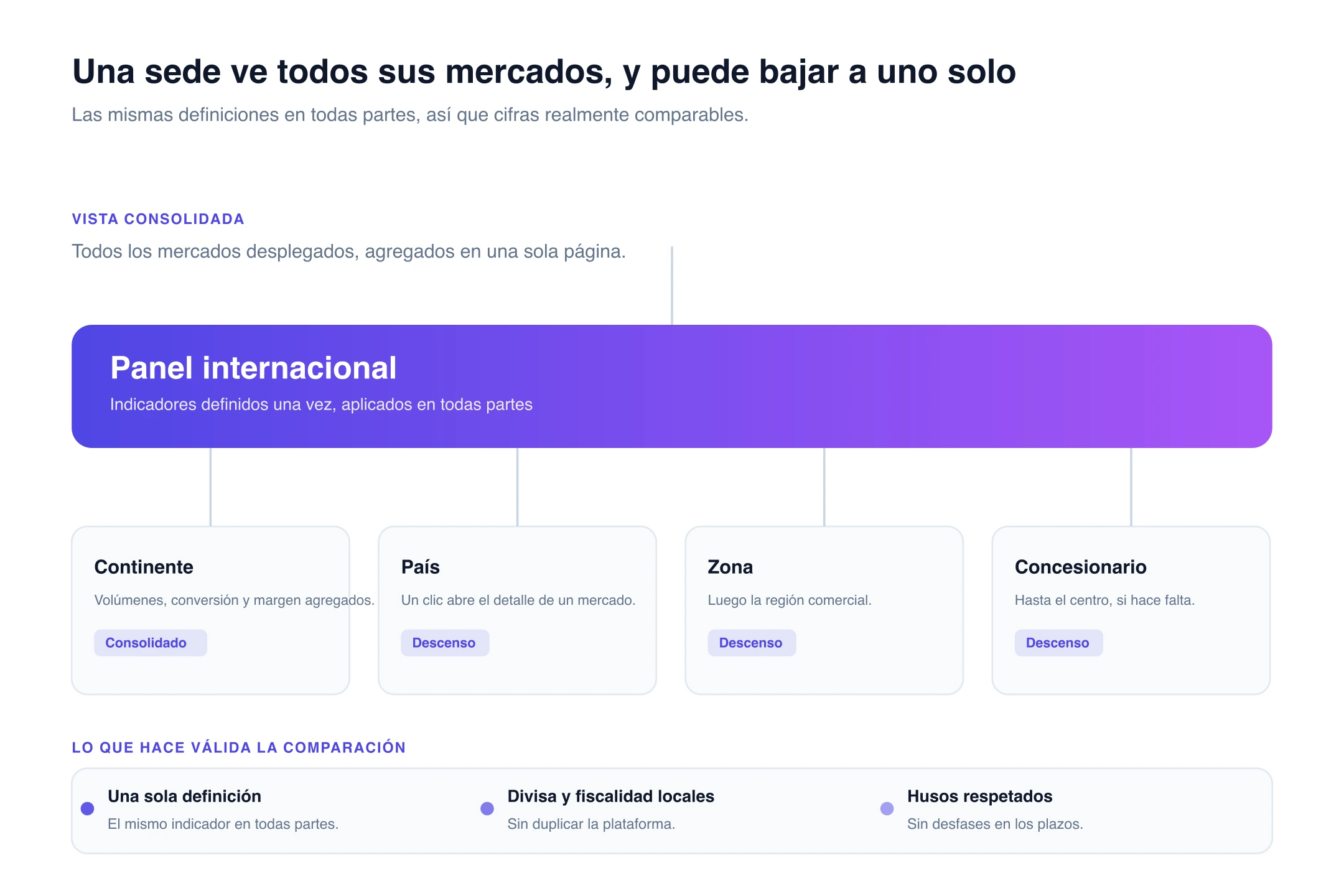 Panel internacional